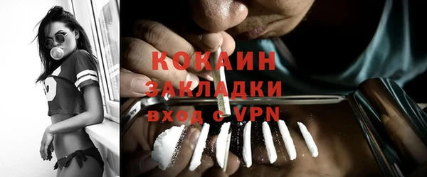 крисы Зерноград