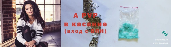 крисы Зерноград