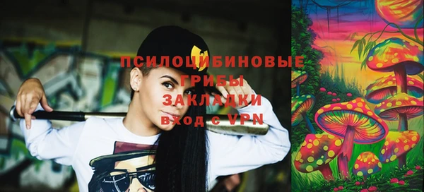 ГАЛЛЮЦИНОГЕННЫЕ ГРИБЫ Зеленокумск