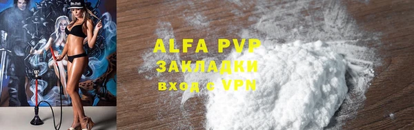 крисы Зерноград
