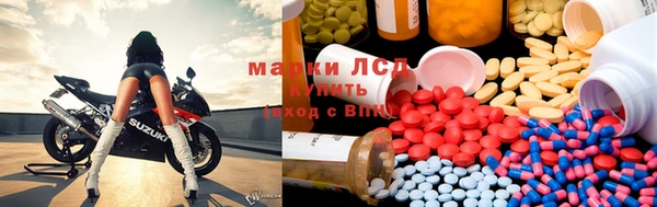 крисы Зерноград