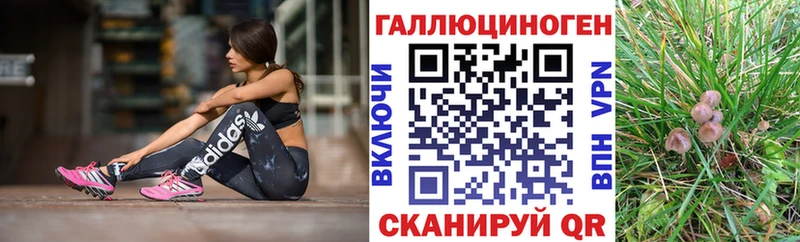 Псилоцибиновые грибы Psilocybe  Купить  Торжок 
