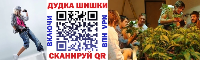 МАРИХУАНА OG Kush  Купить где  Торжок 
